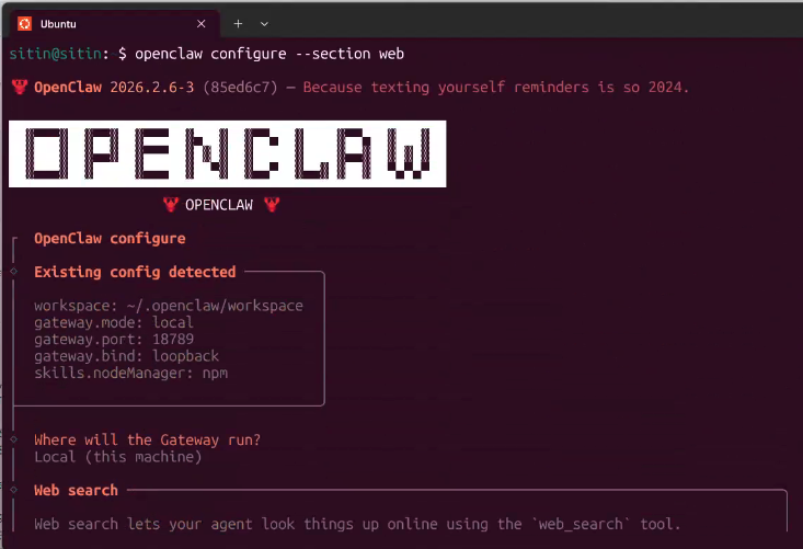 OpenClaw 在 Ubuntu 终端中的安装与配置界面